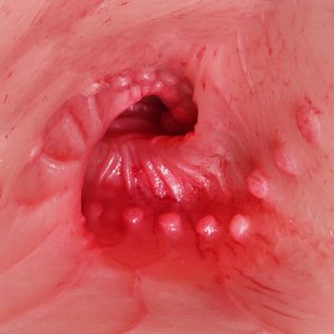 Tantaly 75cm/2ft6 J-cup TPE Sex Doll Torso – Jennifer at rosemarydoll