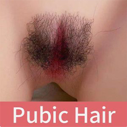 Pubic Hair